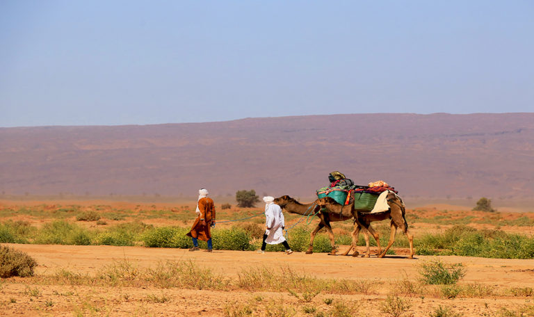 Camel ride in Morocco-sublime desert