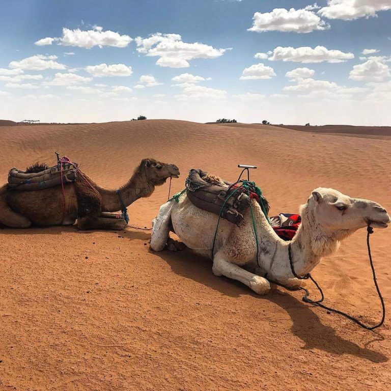SAHARA DESERT TOUR-SUBLIME DESERT