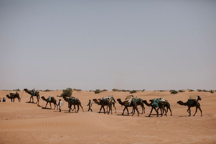 Trekking Tour in Morocco to explore Sahara desert with Nomad team