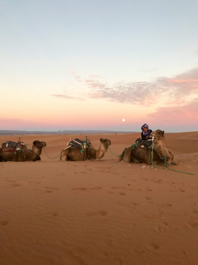 Sublime Desert Morocco Desert Tours 5 Day Desert Tour from Marrakech