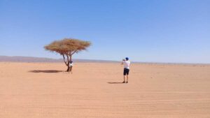 Sahara Desert in Morocco