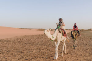 Morocco Desert Tours Camel Trekking Company From M'hamid 3 Day Tour